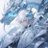 Frost❄️ avatar