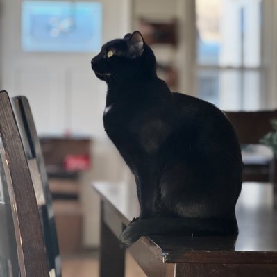 MObeerNcider's profile picture. kids, travel, dogs, cats, music, wife, food … not particularly in that order.