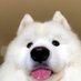 เลโก้ หมาน้อยโปรโมท (@namberone29) Twitter profile photo เลโก้ หมาน้อยโปรโมท (@namberone29) Twitter profile photo