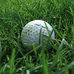 Connecting people who are experts and/or passionate about Golf