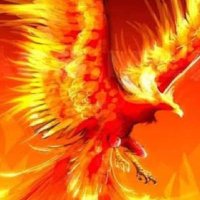 Wilson Lula (@wilsons77373) 's Twitter Profile