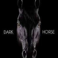 Blck_horse_deek (@horse31688) 's Twitter Profile Photo Blck_horse_deek (@horse31688) 's Twitter Profile Photo