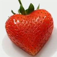 strawberrysweet (@strawbe2107) 's Twitter Profile Photo strawberrysweet (@strawbe2107) 's Twitter Profile Photo