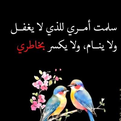 mmdbdllh152747's profile picture. 