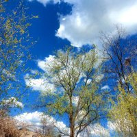 Liverdinsan (@zekikuru1846290) Twitter profile photo