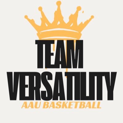 Team Versatility Profile