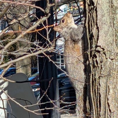 nut_monsterr's profile picture. Nuts or guts