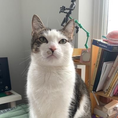 misfitssd's profile picture. .