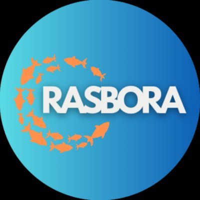 rasborafish's profile picture. The amazing genus and species of the Rasbora fish.