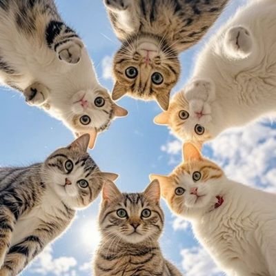 ihaaydin's profile picture. 