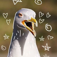 Peter_Parakeeet (@peter_parakeet) 's Twitter Profile