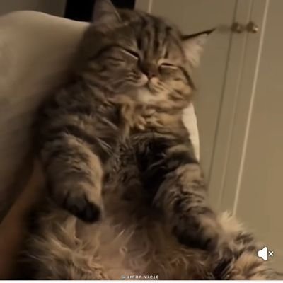 AranzaRamirez12's profile picture. 