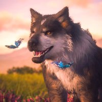 ππππππ (@hisloyalhound) 's Twitter Profile