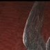سوس (@__fhd900) Twitter profile photo سوس (@__fhd900) Twitter profile photo