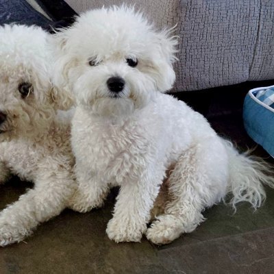 fryedjw's profile picture. former teacher, Beatles fan, Seahawks fan, 1967 Mercury Cougar owner