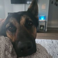 Tanya (@tanya9275) 's Twitter Profile