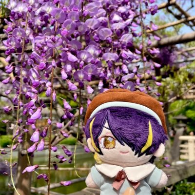 鳶山さんのプロフィール画像