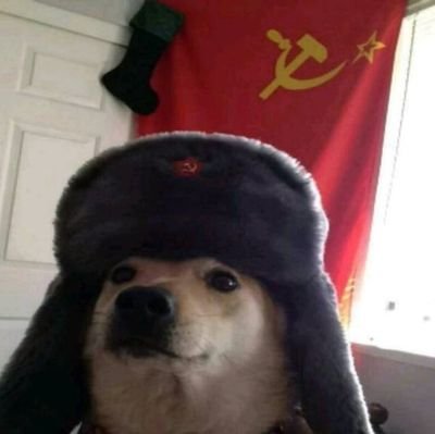Alekber185373's profile picture.