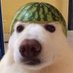 Hajmola Smuggler (@xlnahihai) Twitter profile photo Hajmola Smuggler (@xlnahihai) Twitter profile photo