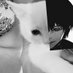 トルフィン 🇦🇶 (@weluvthorfin) Twitter profile photo トルフィン 🇦🇶 (@weluvthorfin) Twitter profile photo