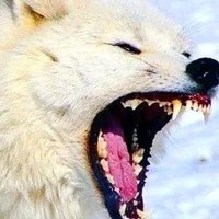 diamondeye (@diamondeye) 's Twitter Profile Photo diamondeye (@diamondeye) 's Twitter Profile Photo