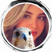 المسگ (@sk200_ll) 's Twitter Profile Photo المسگ (@sk200_ll) 's Twitter Profile Photo