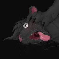Shads twitch cat⚠️🔞🇸🇪 (@fluff_ad) 's Twitter Profile Photo Shads twitch cat⚠️🔞🇸🇪 (@fluff_ad) 's Twitter Profile Photo