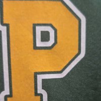 Parkview Vikings baseball fans (@vikingbsblfans) 's Twitter Profile