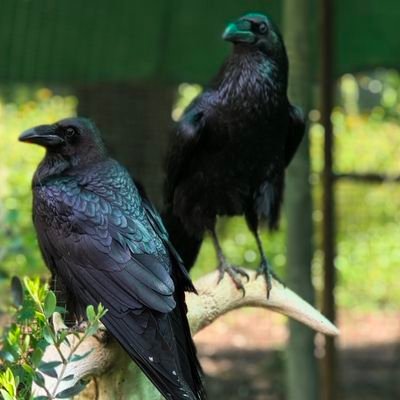 certjand's profile picture. 