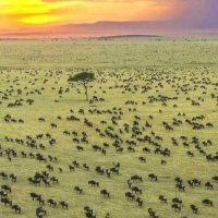PHILIP MUASA (@muasap) 's Twitter Profile