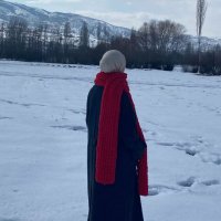 Liz Shouse (@stotheh) 's Twitter Profile