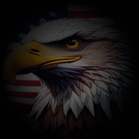 Q RIPPLE 🇺🇸🇺🇸 (@qripple_) 's Twitter Profile