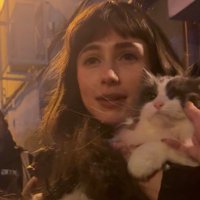 car (@yurixcx7) 's Twitter Profile Photo car (@yurixcx7) 's Twitter Profile Photo