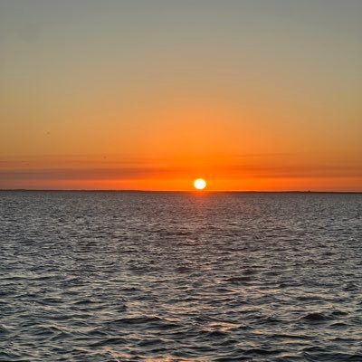 cafetv_'s profile picture. Latinoamérica unida 😎 Reforma a fiscalías, ELIMINAR FUEROS, Reforma Electoral y revocaciones de mandato a presidentes, gobernadores, diputados y senadores.