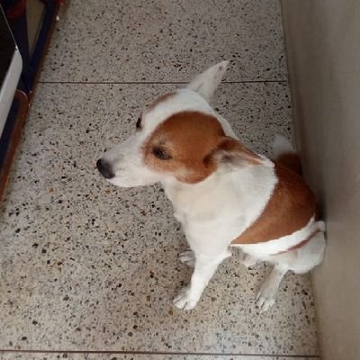 MartinMontes20's profile picture. En favor de la rectitud