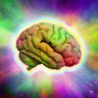 Third Eye Transmission 👽 (@jacktheplug__) 's Twitter Profile Photo Third Eye Transmission 👽 (@jacktheplug__) 's Twitter Profile Photo