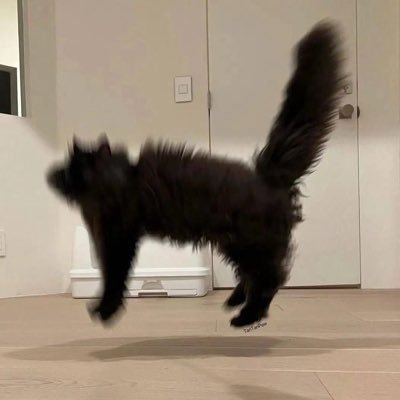 znz1466920's profile picture. 