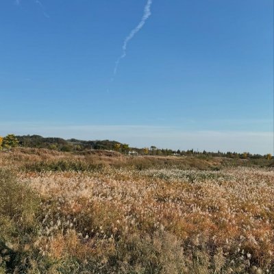 PSMTIKalTara's profile picture. 残念なことに私が心にもないことを言うとあなたも私の意に添ってくれます。