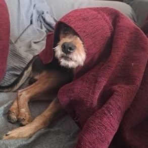 paulama58449288's profile picture. 