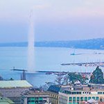 lightblue256's profile picture. 