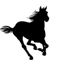 北城 駿 (@shun_kitashiro) Twitter profile photo