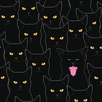 Nocturnal Lama (@lamaabdullah94) 's Twitter Profile