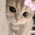 Cutelinaa (@cutelinaa14) Twitter profile photo Cutelinaa (@cutelinaa14) Twitter profile photo