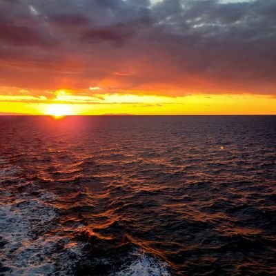 Laurett04116401's profile picture. Non ci è permesso scegliere la cornice del nostro destino, ma ciò che ci mettiamo dentro è nostro.