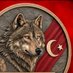 Asena mhp milliyetçi (@leylabayra85862) Twitter profile photo Asena mhp milliyetçi (@leylabayra85862) Twitter profile photo