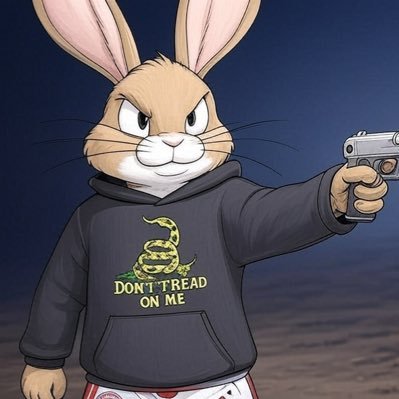 don93darko Profile Picture