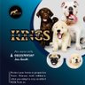 Kingskennel11's profile picture. Best quality pet