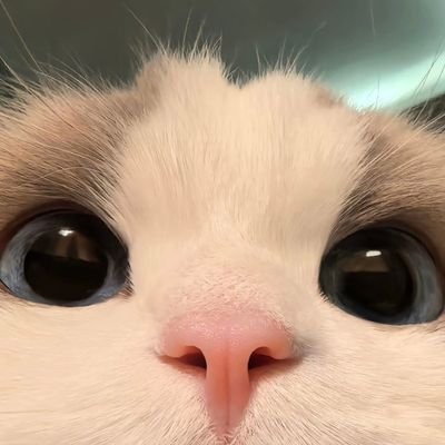 TaNgMoPuNzZ's profile picture. ⪠⬠ãŸ(ÂŽïž¶`â¡)ïŸ â¬ âª ðŠð±ð 
Yo! Dream! ì©ìŽì£Œì íìŽí
!
WINWIN : RENJUN
    NR : MM