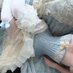 alice "lacey" ──★ ˙ ̟🕊️ !! (@lacebluebird) Twitter profile photo alice "lacey" ──★ ˙ ̟🕊️ !! (@lacebluebird) Twitter profile photo