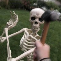 AnonDorrito5๐ (@dorritomask) 's Twitter Profile